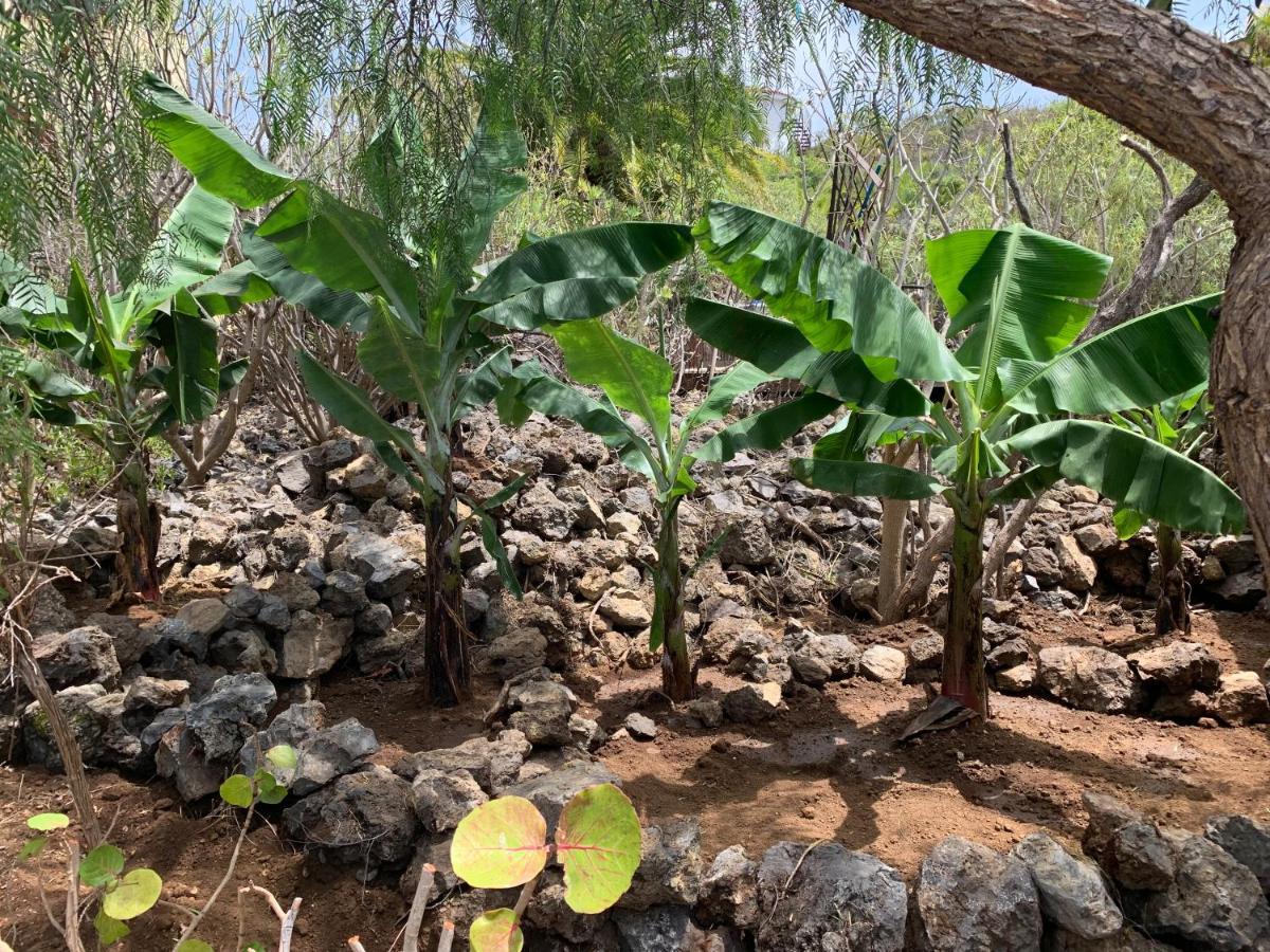 Pajar - Finca Tabaiba By Tor Icod De Los Vinos Dış mekan fotoğraf